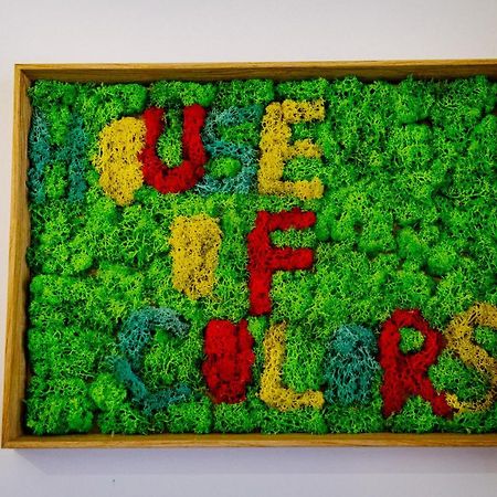 House Of Colors Apartment Petrosani Luaran gambar